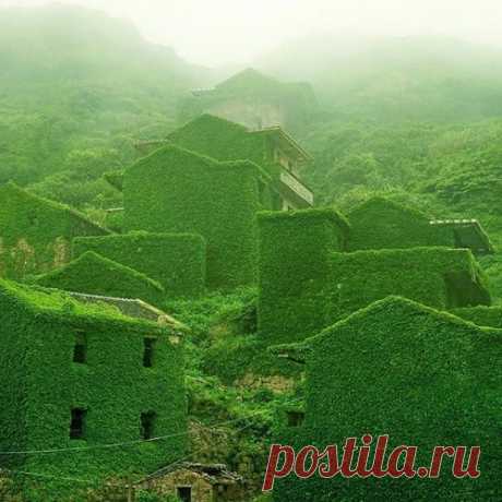 Зеленая деревушка в Китае