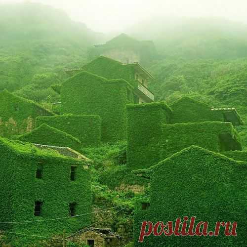 Зеленая деревушка в Китае