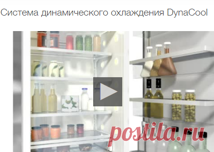 Miele KFN 28132 ws Отдельно стоящая холодильно-морозильная комбинация