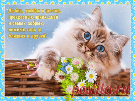 image-6-640x480.gif (640×480)