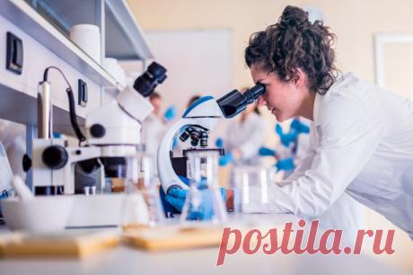 «Обелиски» внутри нас. Учёные обнаружили в организме людей новые сущности. Они распространены по всему миру и довольно многообразны. Но пока биологи даже не представляют, какое влияние они оказывают на здоровье.