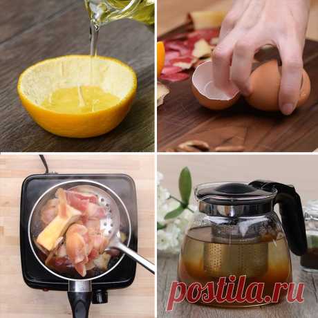 Blossom - 5 Ways to reuse your food scraps...while saving our planet!