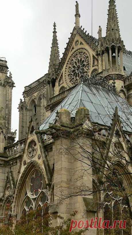 South view of Notre Dame de Paris - one of my favorite…  |  Pinterest • Всемирный каталог идей