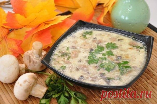 Грибной суп с сыром