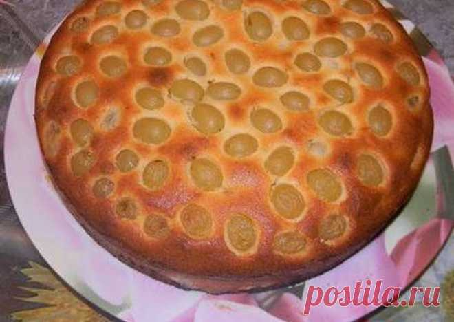 Виноградный пирог Автор рецепта Мария - Cookpad