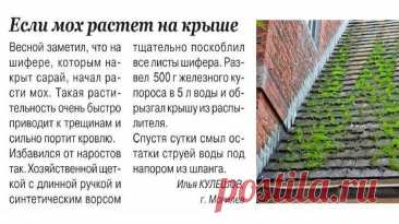 Если мох растет на крыше