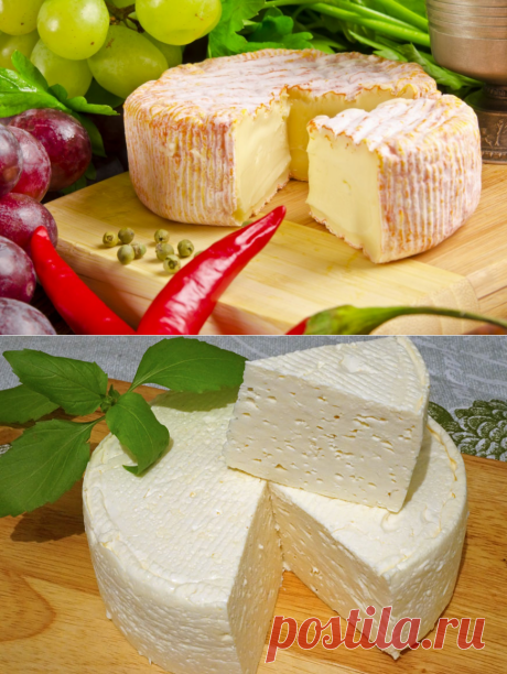 ДОМАШНИЙ ФРАНЦУЗСКИЙ СЫР: ВКУСНО, ПРОСТО И ДЕШЕВО!