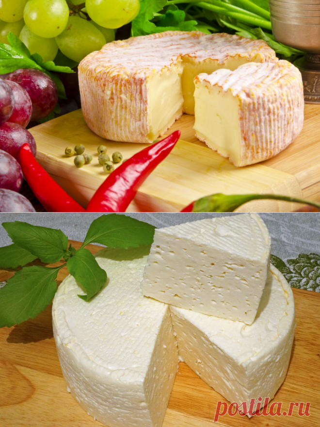 ДОМАШНИЙ ФРАНЦУЗСКИЙ СЫР: ВКУСНО, ПРОСТО И ДЕШЕВО!