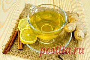 Чем утолить жажду летом. 5 рецептов прохладительных напитков