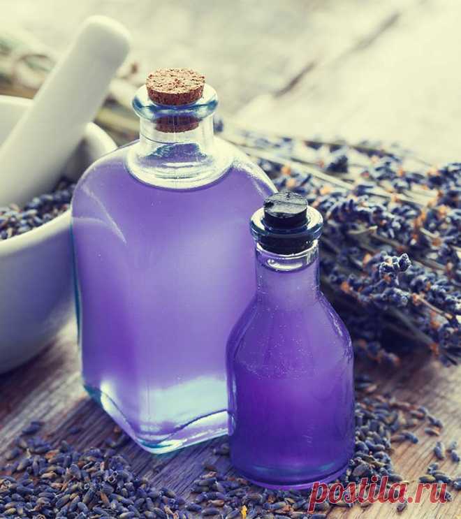 20 Best Benefits Of Lavender Oil For Skin, Hair And Health Lavender plant that needs no introduction. But, not many of us are aware of the best benefits of lavender oil. And that is why you have come to right place