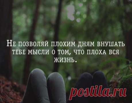 Не позволяй плохим дням внушать тебе мысли о том, что плохая вся жизнь | Мир позитивных новостей
