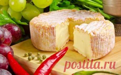 Домашний французский сыр своими руками: вкусно, быстро и дешево! Настоящий деликатес у вас на столе!