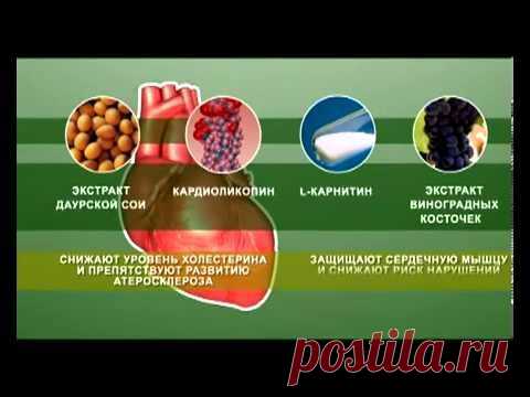 Ранняя диагностика сердечно-сосудистой системы