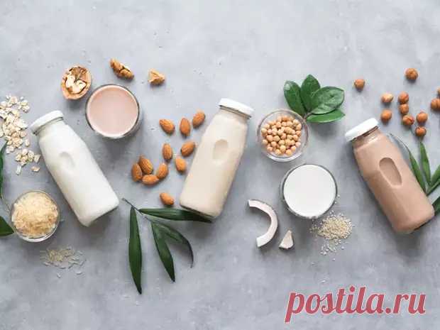 Что такое альтернативное молоко и есть ли от него польза / 5 видов растительного молока, которые мог - Дачно-огородные радости - 5 сентября - 43927122958 - Медиаплатформа МирТесен