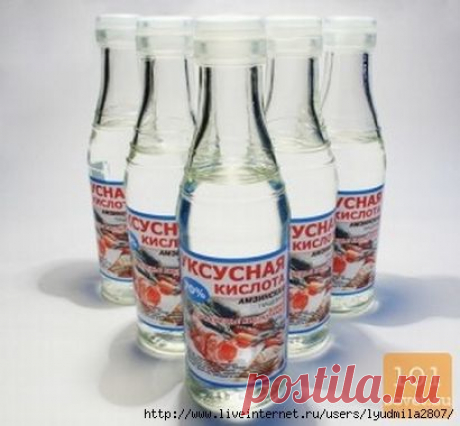 Всё про уксус