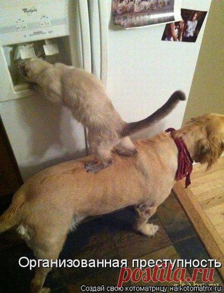 Интересные новости