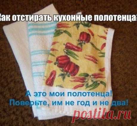 КАК ОТСТИРАТЬ КУХОННЫЕ ПОЛОТЕНЦА⁉