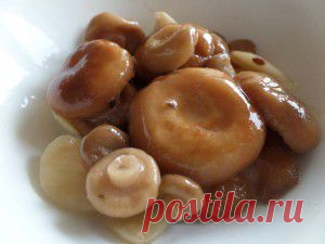 Солёные розовые волнушки