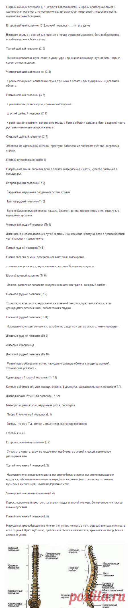 (2) Одноклассники