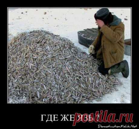 И еще для поднятия настроения) Ни хвостм респект! / Богатая добыча