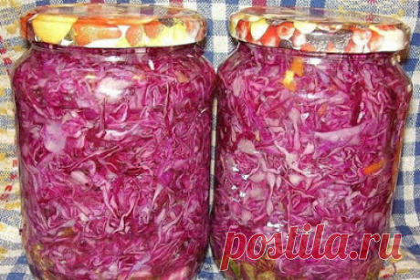 Красная маринованная капуста...