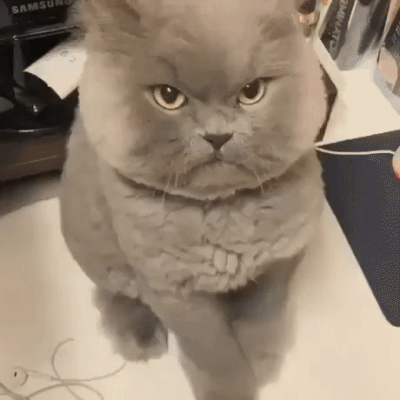 Я не позволил тебе прикоснуться ко мне! - GIF