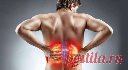 Какие средства результативно растворяют камни в почках