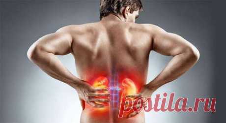 Какие средства результативно растворяют камни в почках