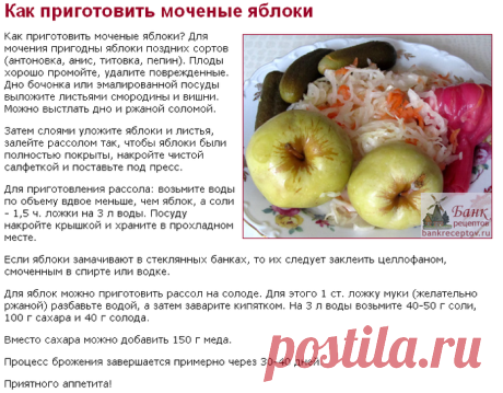 Яблоки моченые приготовление в домашних условиях