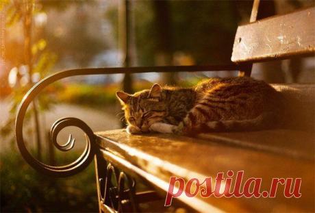 Дом - это не место, а состояние души...