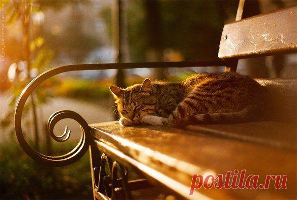 Дом - это не место, а состояние души...