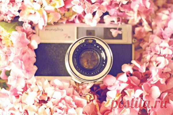 Как выбрать свадебного фотографа? - WeddyWood