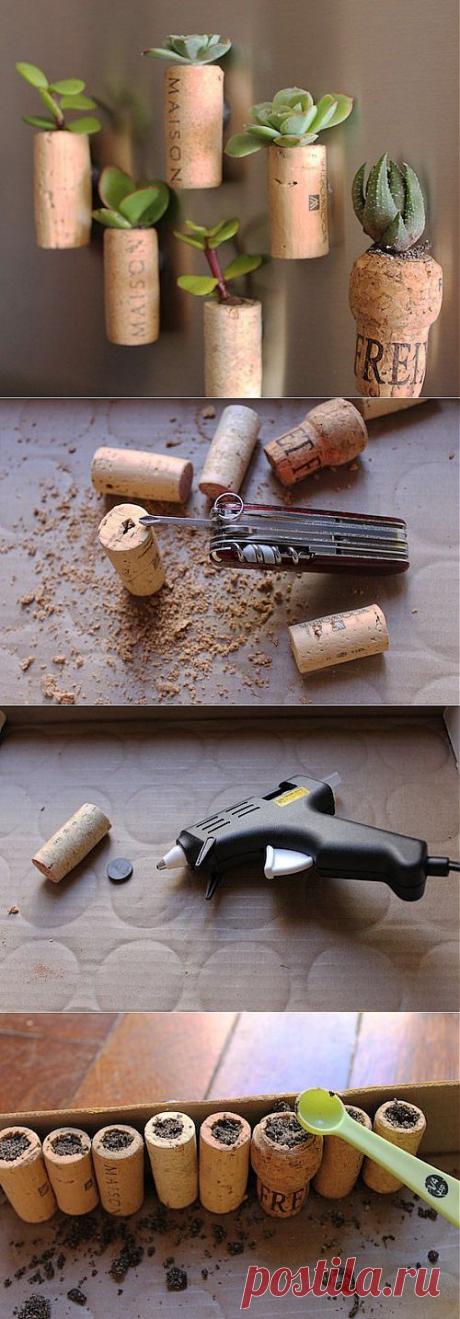 Как сделать минисад на холодильнике | Хитрости жизни