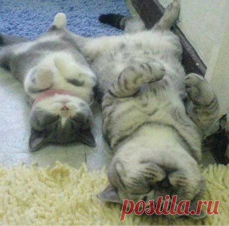 Мой Мир@Mail.Ru