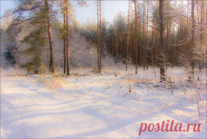 ФОТОМАСТЕРСКАЯ ПРИРОДЫ
Нина Горбачева