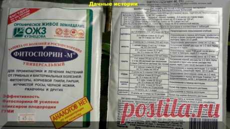 Самоцветик