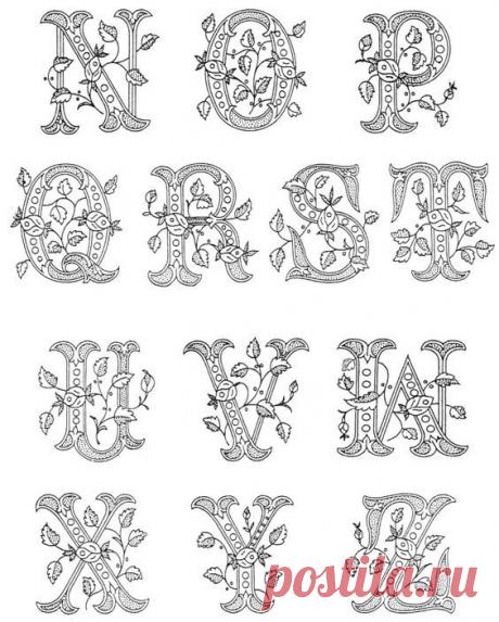 This Pin was discovered by DIMA DENIS. Discover (and save!) your own Pins on Pinterest.