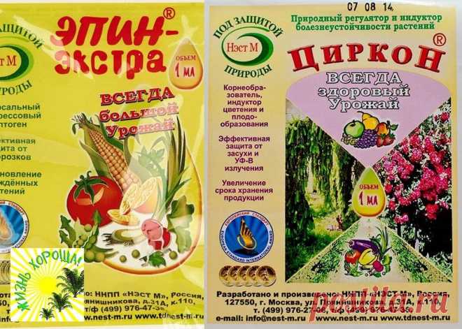 САД ЛАНЫ
