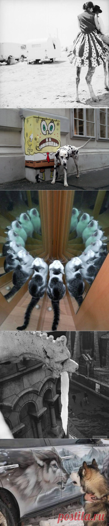 Удачный кадр. Классно! / Всё самое лучшее из интернета