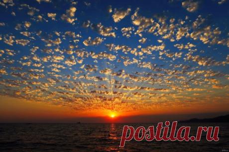 Когда я наслаждаюсь великолепием заката или красотой луны, моя душа преклоняется перед Создателем. 
Робин Шарма