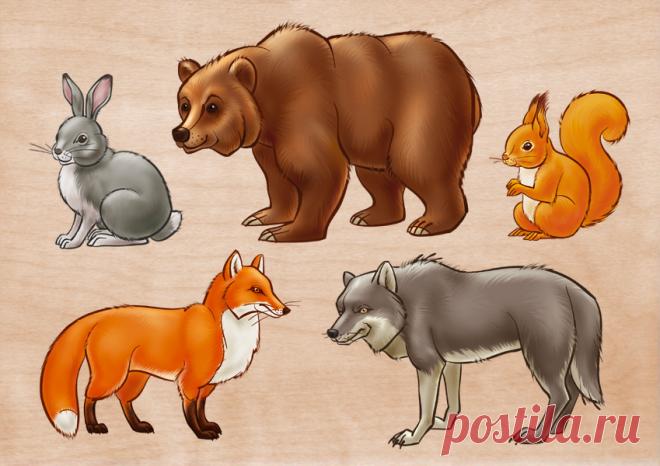 Животные на английском языке с переводом, транскрипцией и русским произношением - слушать