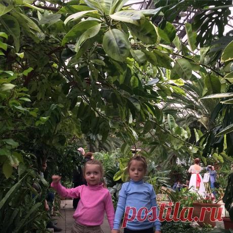 Елена Доброчинская