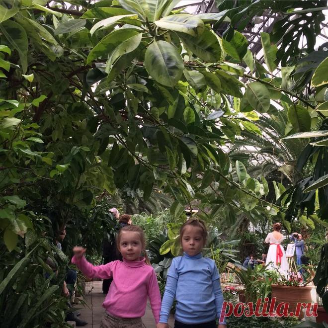 Елена Доброчинская