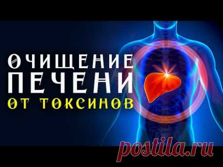 Матрица Гаряева Очищение Печени от Токсинов ☀️ Полное Восстановление и Исцеление Печени Звуком