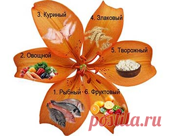 Диета «6 лепестков» – эффект потрясающий!