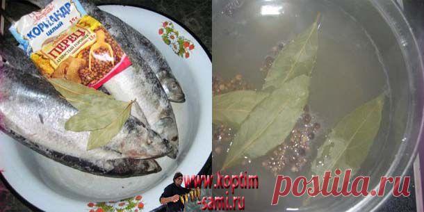 Рецепт засолки селедки в домашних условиях, соление селедки в домашних условиях