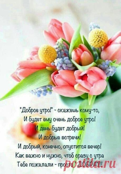 image (535×768)