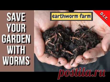☑️ Earthworm farm (no cost) 🧺 Φάρμα σκουληκιών χωρίς κόστος 💶 - YouTube