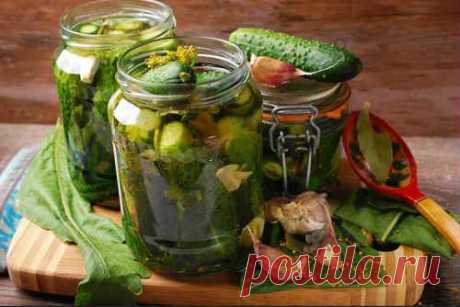 Огурцы по-болгарски на зиму - 10 самых вкусных рецептов