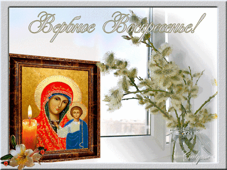 100246281_4809770_v5pozdravlenie.gif (660×495)